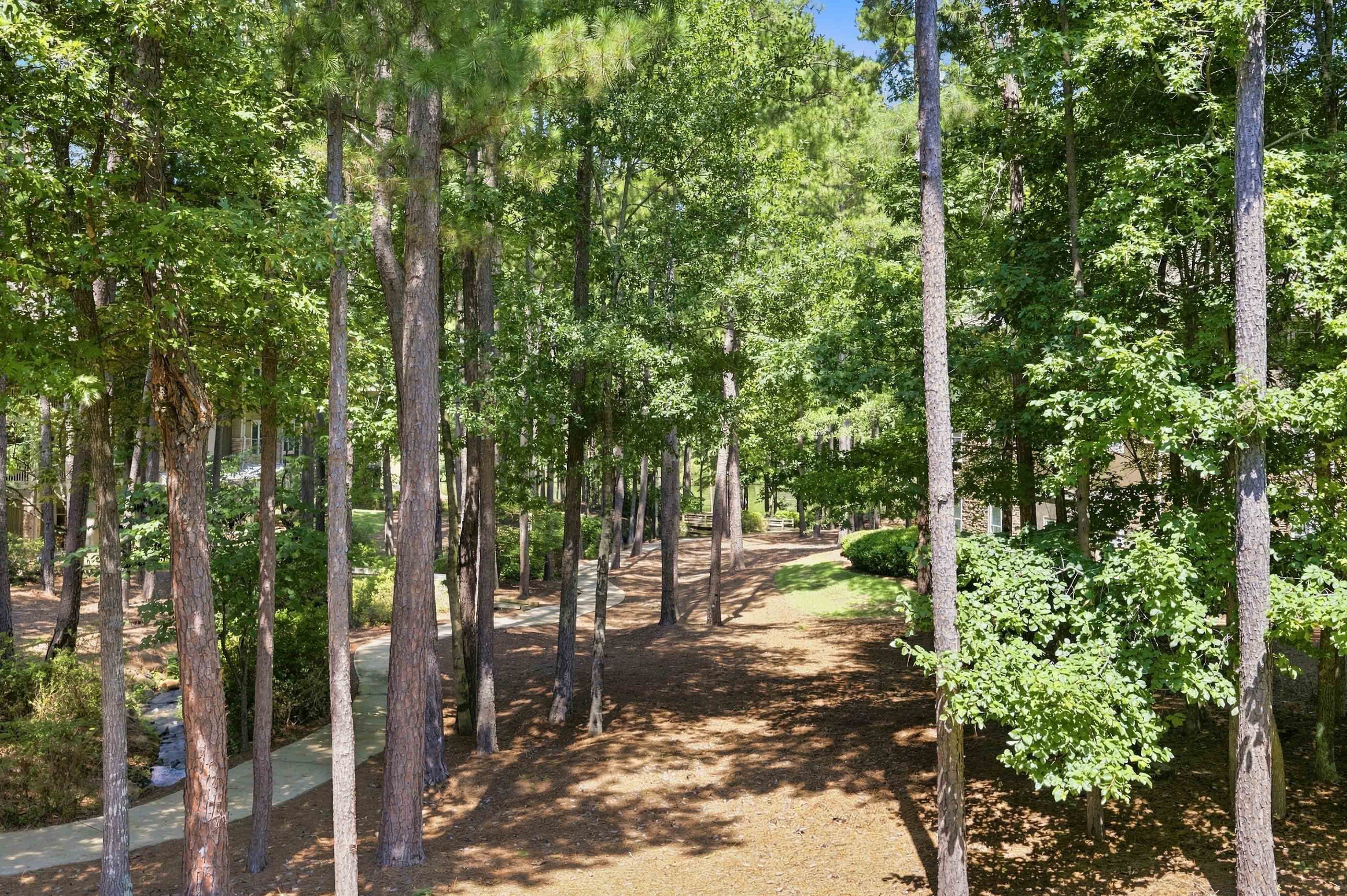 1010D Portage Trail image 13